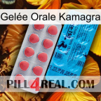 Gelée Orale Kamagra new14